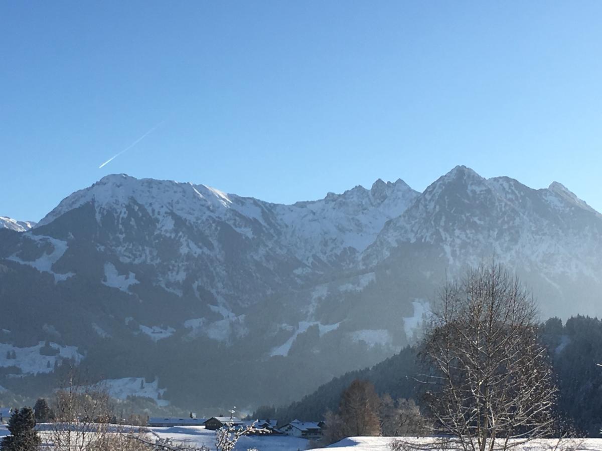 Auszeit Apartment Obermaiselstein Luaran gambar